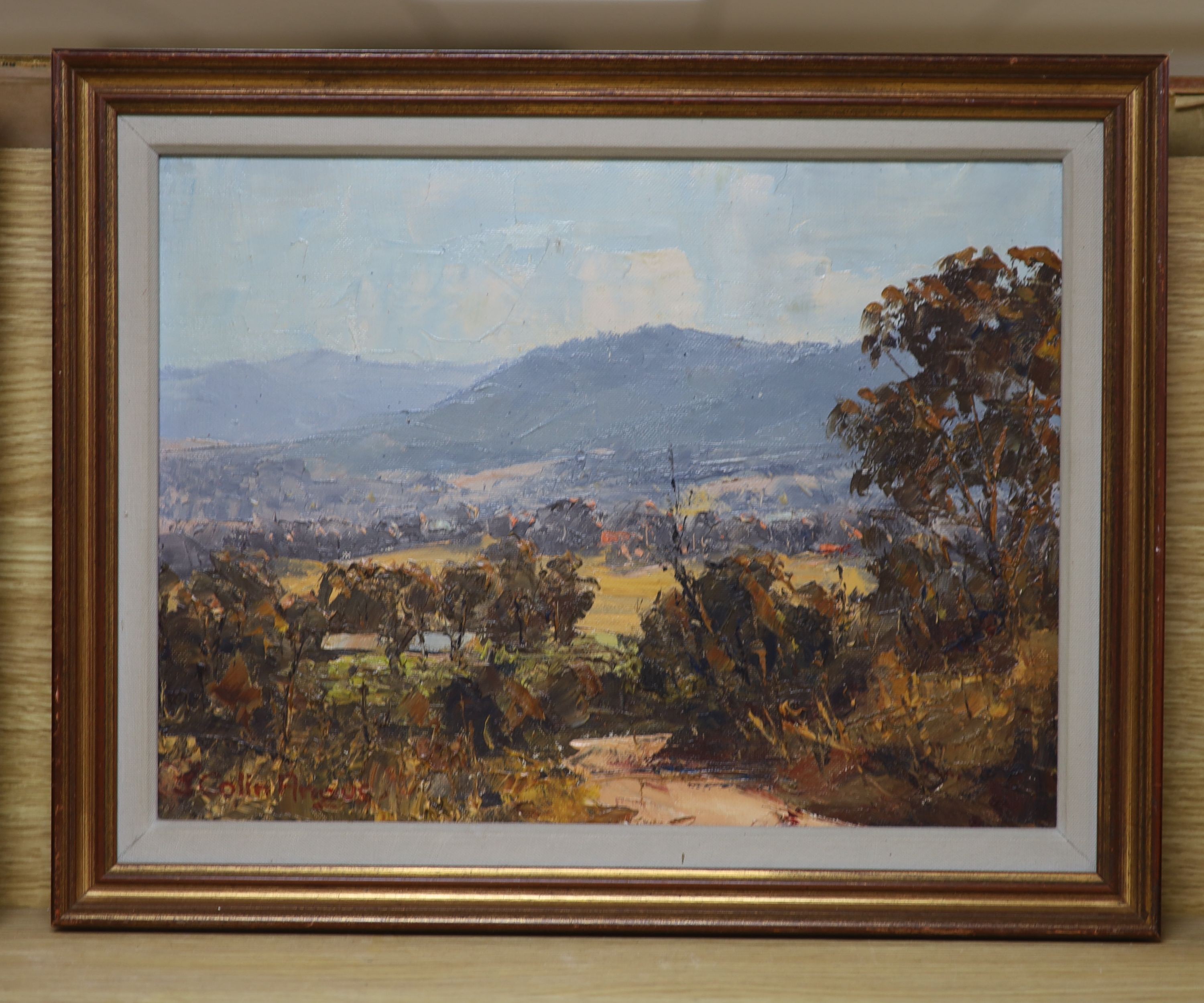 John Colin Angus (Australian 1907-2001), oil on board, The Kiewa Valley, Victoria, signed, 29 x 39cm